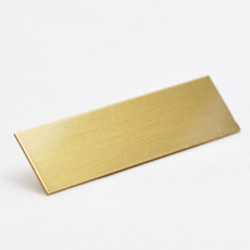 520700080 Gull messingplate