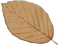 Laser Wood Beech Large Laser Wood bøk plate