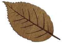 Laser Wood Walnut Large Laser Wood valnøtt plate